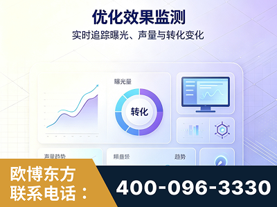 洛阳-优化效果监测