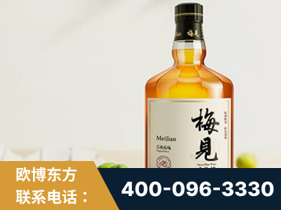 洛阳-梅见青梅酒